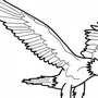 Рисунок птица орёл