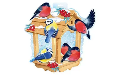 Картинки на кормушку для птиц распечатать