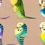 Стилизованные Птицы Картинки