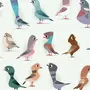 Стилизованные птицы картинки