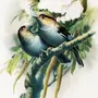 Картинки Для Декупажа Птицы На Ветках