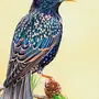 Рисунок птица скворец