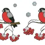 Рисунок Птица Снегирь