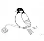Рисунок птица снегирь