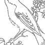 Рисунок птица соловей