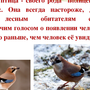 Зимующие Птицы Ростовской Области