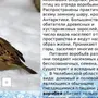 Зимующие птицы курской области