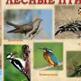 Птицы рязанской области