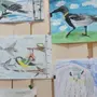 Птицы Донского Края Рисунок На Конкурс