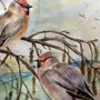 Птицы донского края рисунок на конкурс
