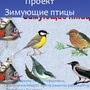 Зимующие птицы татарстана названия