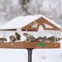 Кормушки Для Птиц Зимой