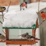 Кормушки для птиц зимой