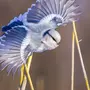 Птица кабелина