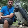 Гарпия птица с человеком