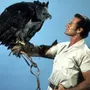 Гарпия Птица С Человеком