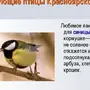 Птицы томской области с названиями зимующие