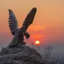 Птицы Ставропольского Края С Названиями Зимой
