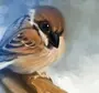 Рисовка птица