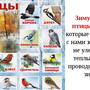 Зимующие Птицы Тюменской Области