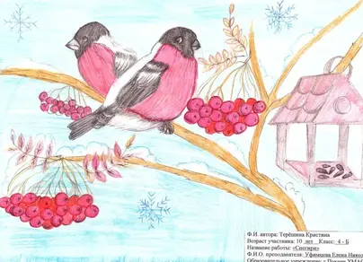 Картинки птицы наши друзья