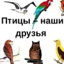 Картинки птицы наши друзья