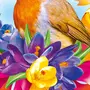 Весенние Птицы Картинки Для Оформления