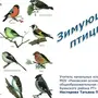 Зимующие птицы ленинградской области