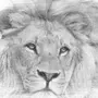 Нарисованный Лев