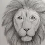 Легкий рисунок льва