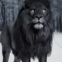 Черный Лев