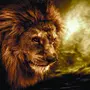 Картинка льва на заставку
