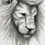 Голова льва рисунок
