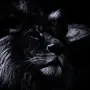 Картинка Черный Лев