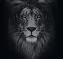 Картинка черный лев