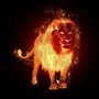 Огненный лев картинки