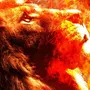 Огненный лев картинки