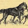 Волк и ягненок картинки
