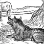 Волк И Ягненок Картинки