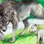 Волк и ягненок картинки