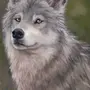 Волк В Лесу Картинки Для Детей