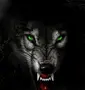 Злая волчица