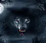 Злая волчица