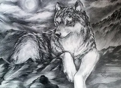 Черный волк рисунок