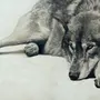 Черный Волк Рисунок
