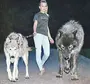 Самый большой волк в мире