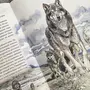 Виннипегский Волк Картинки