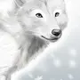 Белая волчица