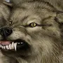 Чеченский Волк