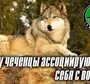 Чеченский Волк